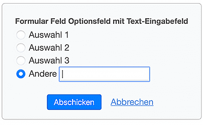 Andere Auswahl mit freiem Textfeld im Formular